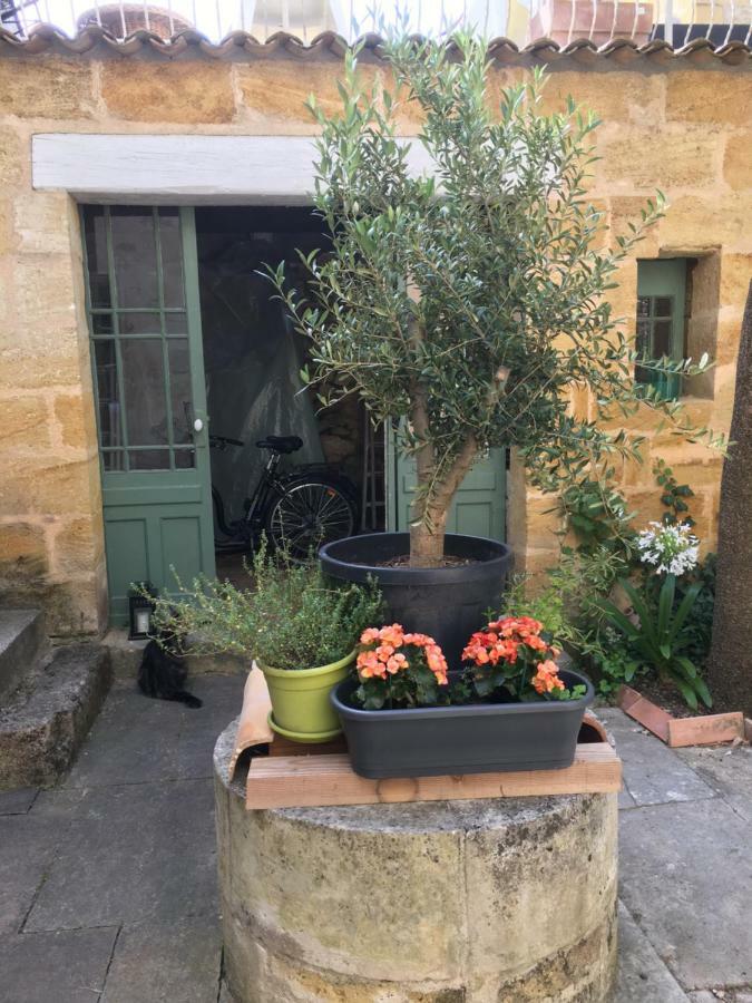 Maison De Maitre Elegia Castillon-la-Bataille Buitenkant foto